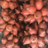 สละสุมาลี หวานเจี้ยบ กก.80บาท