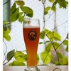 Franziskaner Weissbier