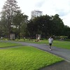 สวนสาธารณะเฉลิมพระเกียรติเกียกกาย