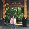ปางช้างแม่สา
