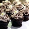 Cup Cake