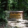 สวนพฤกษศาสตร์เขาช่อง ตรัง