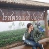 ไร่สตรอเบอรี่ปลายฟ้า