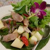 ยำแอปเปิ้ลหมูย่าง