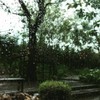 บ้านในสวน