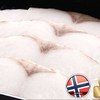Butter Fish Butter Fish
