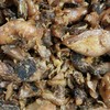 ไก่รวม ไก่รวม