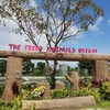 The Field Animals Dream
