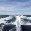 ทริปจะพาเราไปโดยเรือ speed boat ค่ะ (กลิ่นน้ำมันแรงมากTTอันนี้ไม่ค่อยโอเคเลย ทำใ