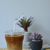 ลาเต้เย็น 50 บาท iced latte 50 baht