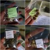 สนใจเมล็ดพันธุ์ไหนเอ่ย
