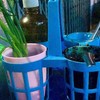 เครื่องปรุง