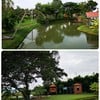 ในสระน้ำเลี้ยงปลาทับทิม