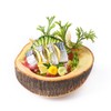SHIME SABA SASHIMI SHIME SABA SASHIMI