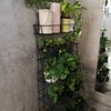 บ้านในสวน