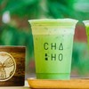 Majestic Matcha Majestic Matcha