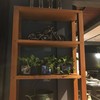 Habita Rooftop
