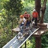 Pongyang Jungle Coaster Zipline Camp&Resort