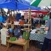 Rustic Market