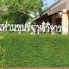 ป้ายบ้านท่านขุนรัฐวุฒิวิจารณ์