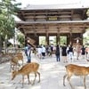 ทางเข้า ประตูNandai-mon ประตูใหญ่ สู่วัดTodaiji