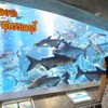 สถานแสดงพันธุ์สัตว์น้ำ