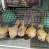 สะโพกไก่ และน่องไก่ ข้าวมันไก่