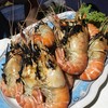 กุ้งเผาตัวโต สดมากกก น้ำจิ้มแซ่บ