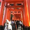 Torii Gate ฝั่งเดินขึ้นเขา