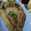 SeaBreeze ซีฟู้ด