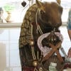 กระซิบคำขอพรที่ข้างหูซ้ายหนูมุสิกะ พร้อมปิดหูขวาด้วยนะ