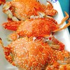 ไซต์4ตัวโล เนื้อหวานมาก