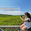 ทุ่งโปรงทอง