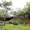 อุทยานแห่งชาติภูพาน