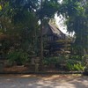 ทองบวก