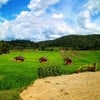 ช่วง Green Season 