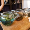 TE Time And Space, Thonglor 25