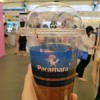 Pacamara Coffee Rain Hill