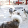 น้องๆเตรียมรอเล่นครับ