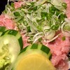 Negi Toro Don