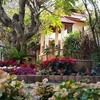 ขอบคุณรูปภาพจาก โรงแรม อารีน่ารีสอร์ท อุตรดิตถ์ - Areena Resort&Hotel Uttaradit