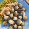 หอยตัวใหญ่นะคะ สดจี๋มณีจ๋า
