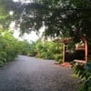 ขอบคุณรูปภาพจาก บ้านสวนปาล์มรีสอร์ท อุตรดิตถ์-Baansuanpalm resort Uttaradit