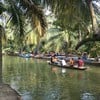 พายเรือในสวนมะพร้าวฟรี