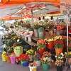ตลาดดอกไม้ จตุรัส Markplatz