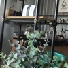 บรรยากาศร้าน