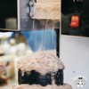 Cafe Bora สยามพารากอน