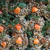 MENU_73943ug_1551952979