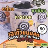 เฉาก๊วยนมสด เต็งหนึ่ง (คาราเมล, ชาไทย, ชาเขียว) เฉาก๊วยนมสด เต็งหนึ่ง (คาราเมล, ชาไทย, ชาเขียว)