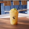 Mayongchid Frappe’ Mayongchid Frappe’